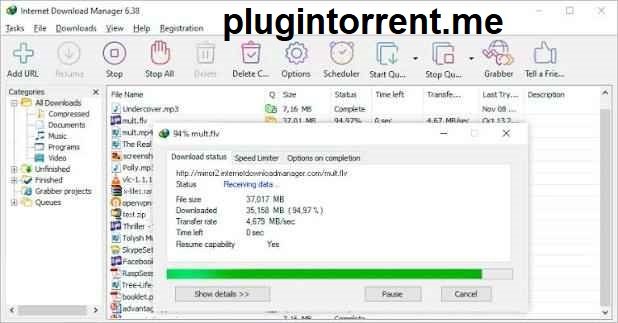 Internet Download Manager 
