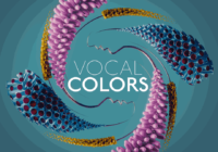Vocal Colors