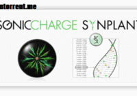 Sonic Charge Synplant