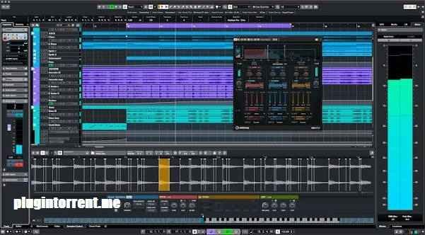Seinberg Cubase Pro