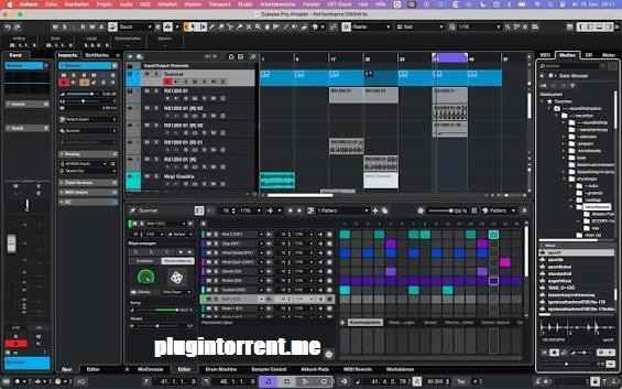 Seinberg Cubase Pro