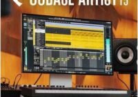 Seinberg Cubase Pro