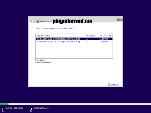 Windows 11 Pro