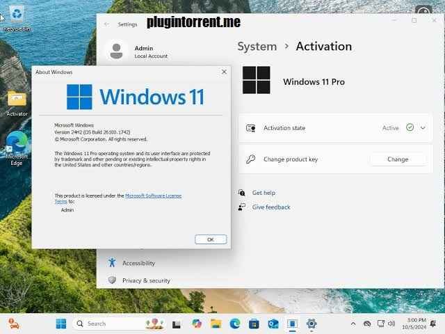 Windows 11 Pro