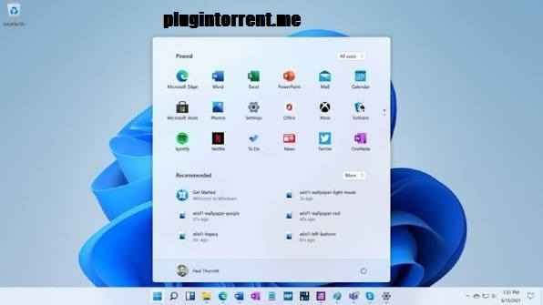 Windows 11 Pro