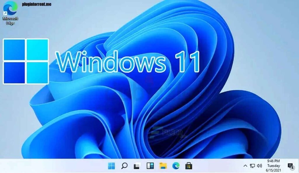 Windows 11 Pro