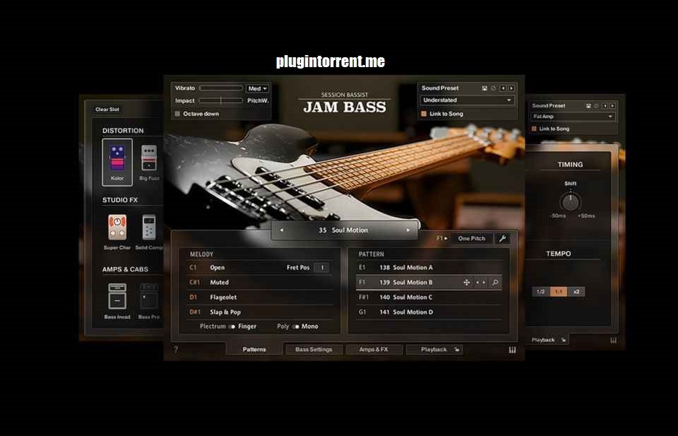 Session Bassist Jam Bass 