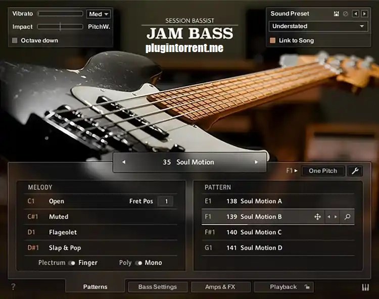 Session Bassist Jam Bass 