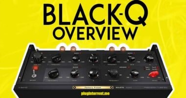 Tone Empire BLACK Q