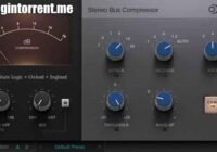 SSL Native Bus Compressor 2