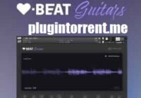 HeartBeat Guitars