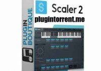 Scaler 2