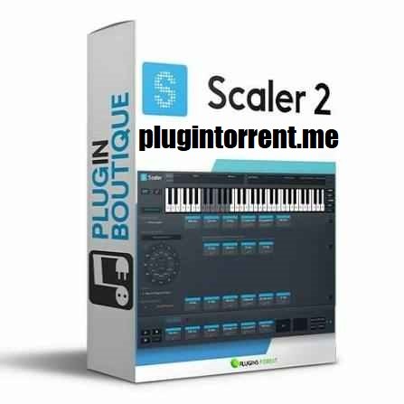 Scaler 2