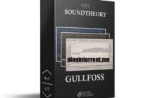 Soundtheory Gullfoss