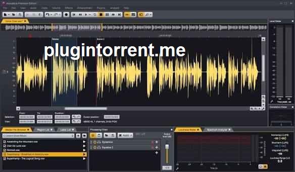 Acoustica Premium