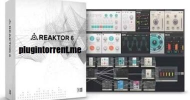 Native Instruments Reaktor