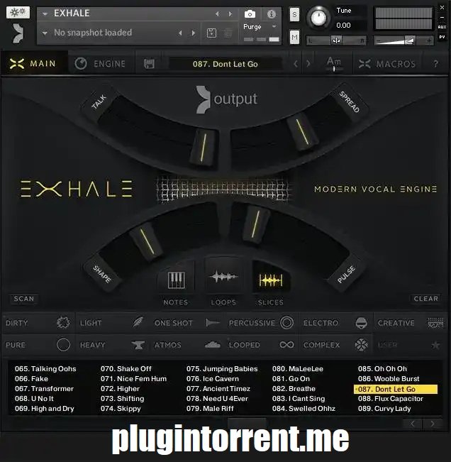 Output Exhale