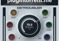 WA Detroubler
