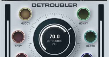 WA Detroubler