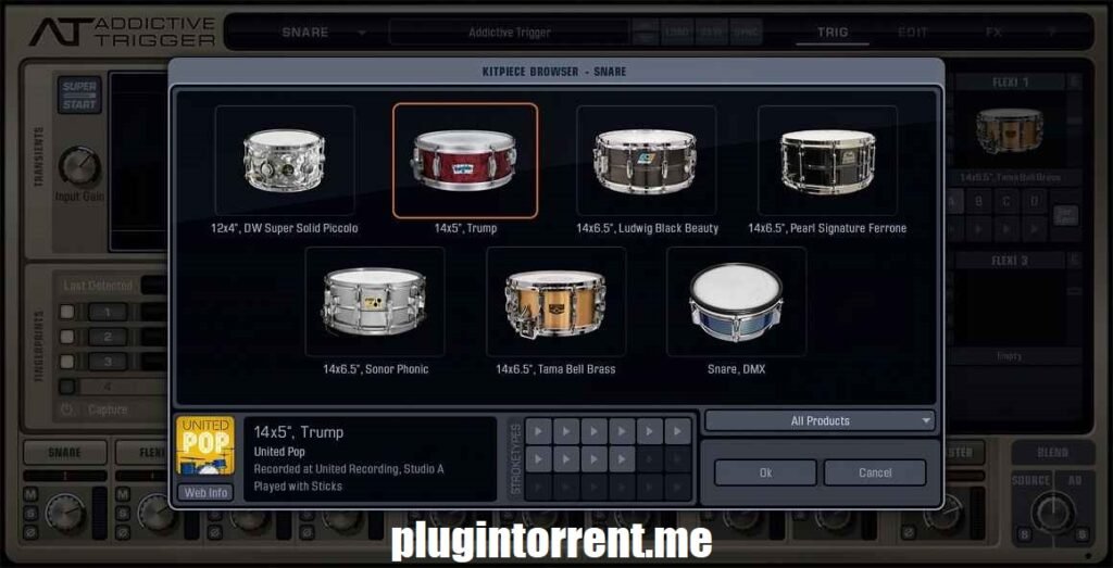 XLN Audio Addictive Trigger